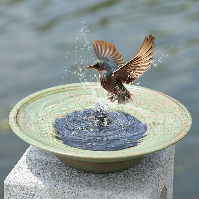 The Magic of Bird Baths