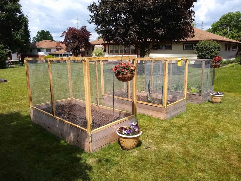 Raised Garden Beds