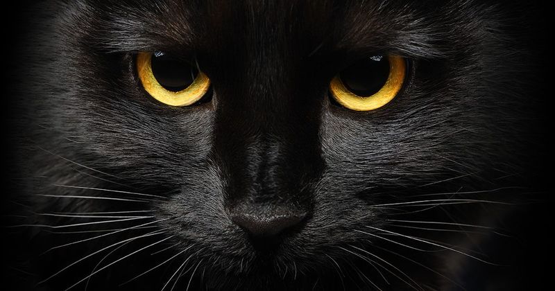 Symbolism and Superstition