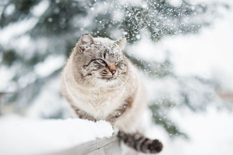 Not Monitoring Weather Conditions