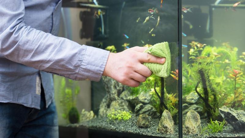 Ignoring Water Quality and Cleanliness