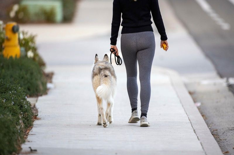 Walk – The Excitement Trigger