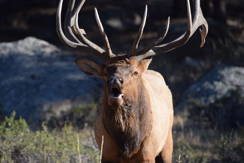 Colorado