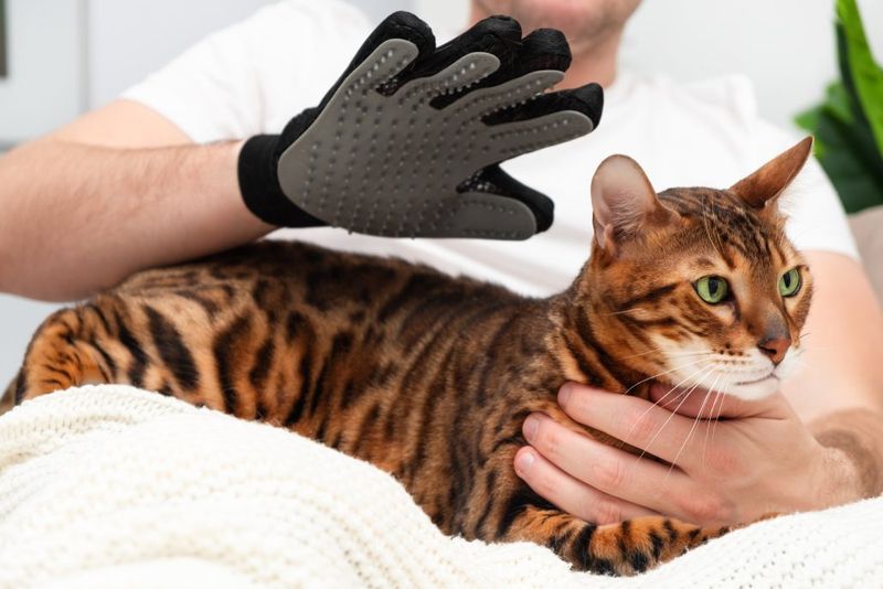 Overlooking Grooming Needs