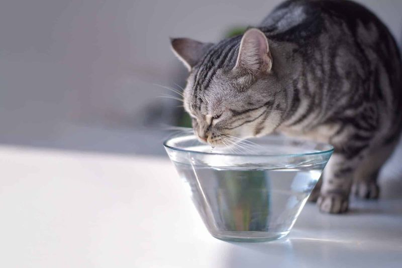 Failure to Provide Clean Water