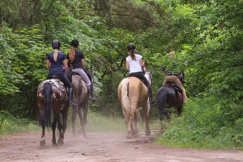 Trail Riding Adventures
