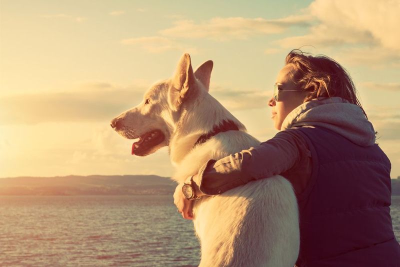 Dogs and Loyalty