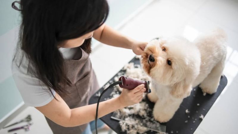 Grooming Regularly