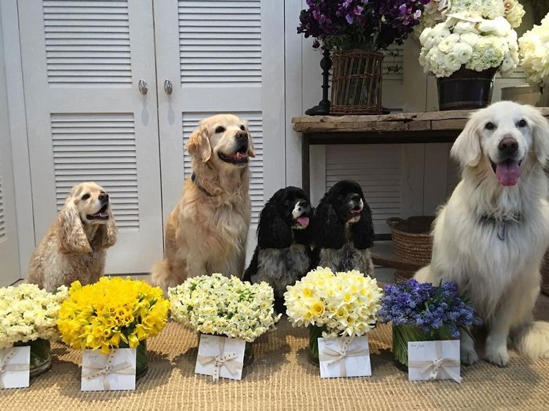 Sadie, Sunny, Lauren, Layla, and Luke
