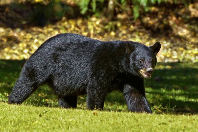 Wisconsin