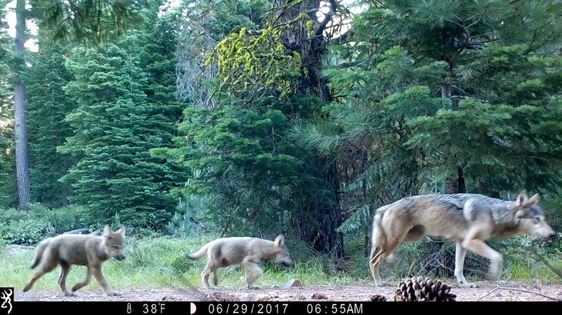 Washington