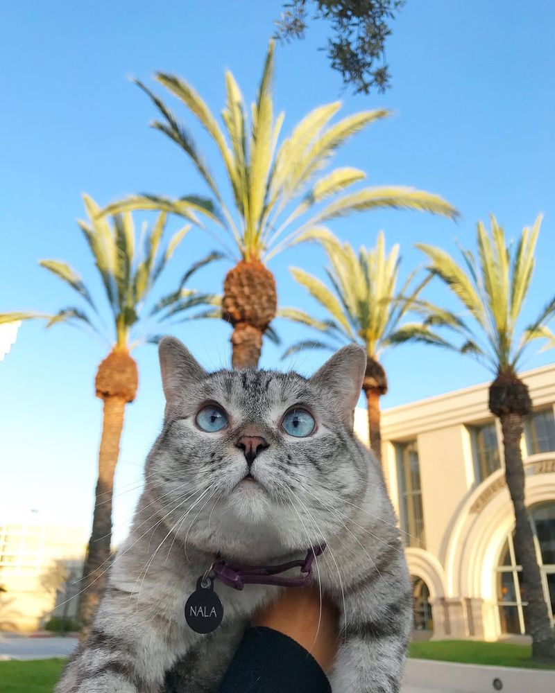 California