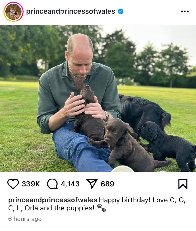 The Adorable Puppies