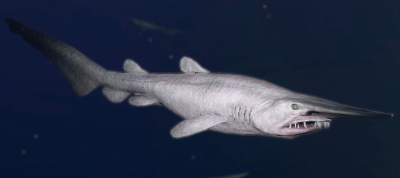 Goblin Shark