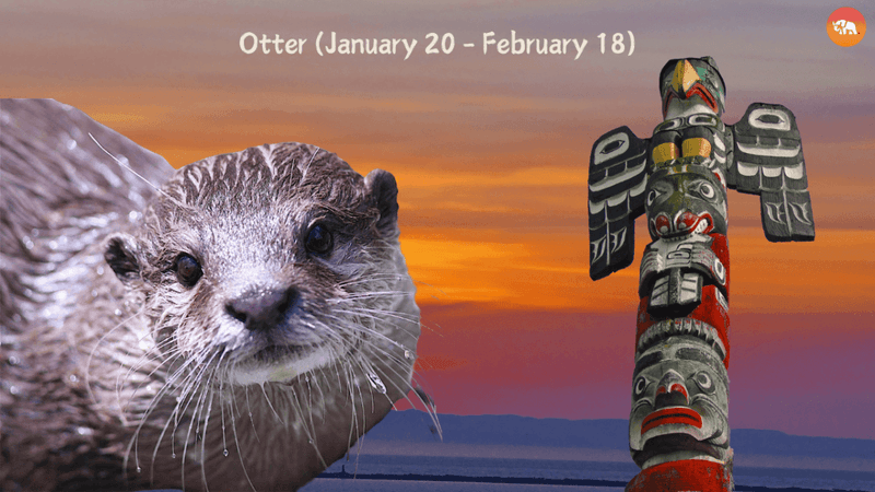 Otter