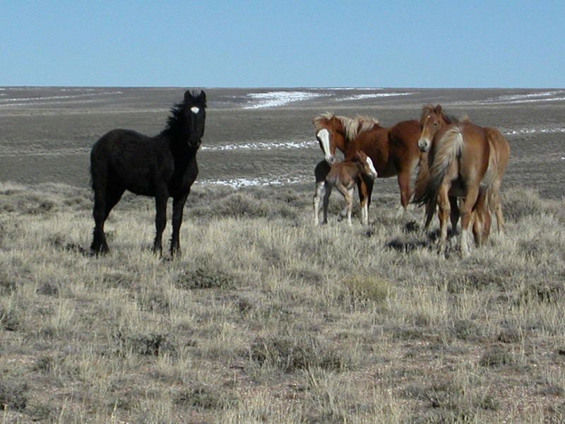 Pilot Butte, Wyoming