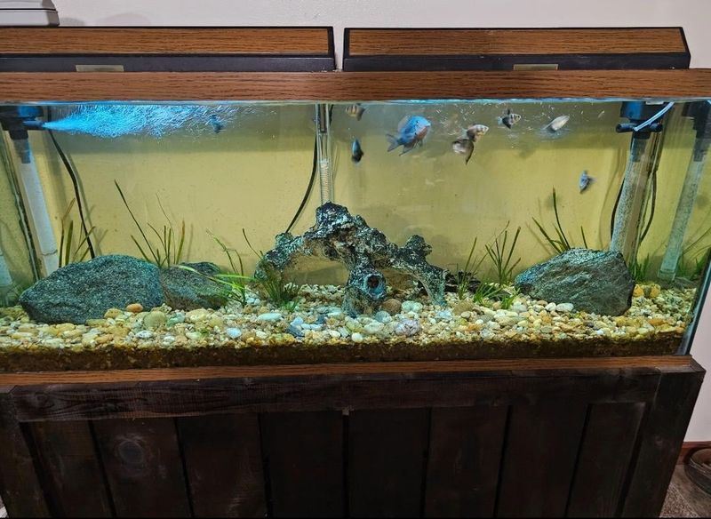 Neglecting Water Temperature