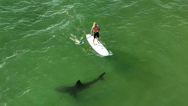 South Padre Island, TX