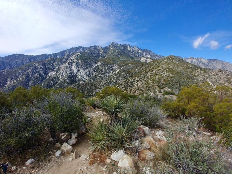 Cactus to Clouds, Palm Springs