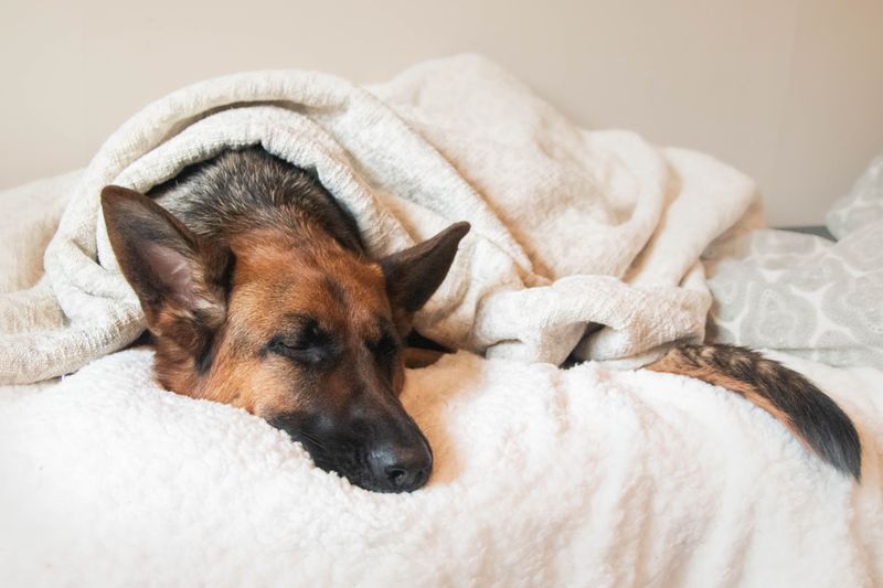 Change in Sleeping Patterns