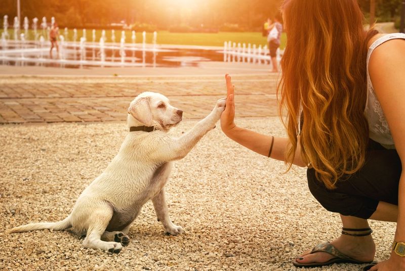 Unconditional Love