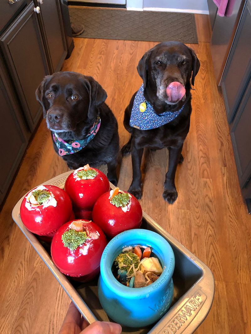 Kong Stuffing