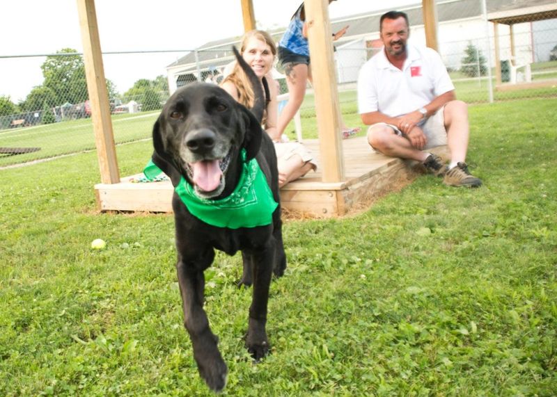 Thornwood Dog Park