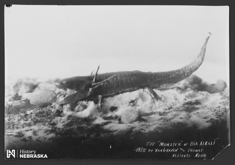 Walgren (Alkali) Lake (Nebraska)