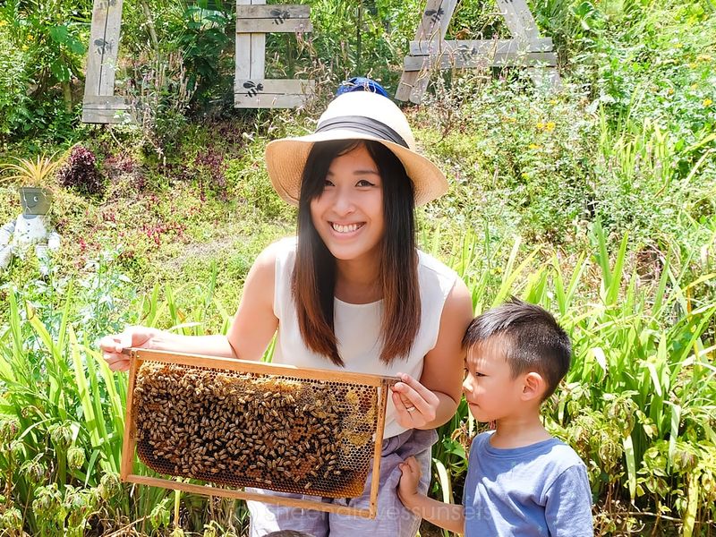 Bees