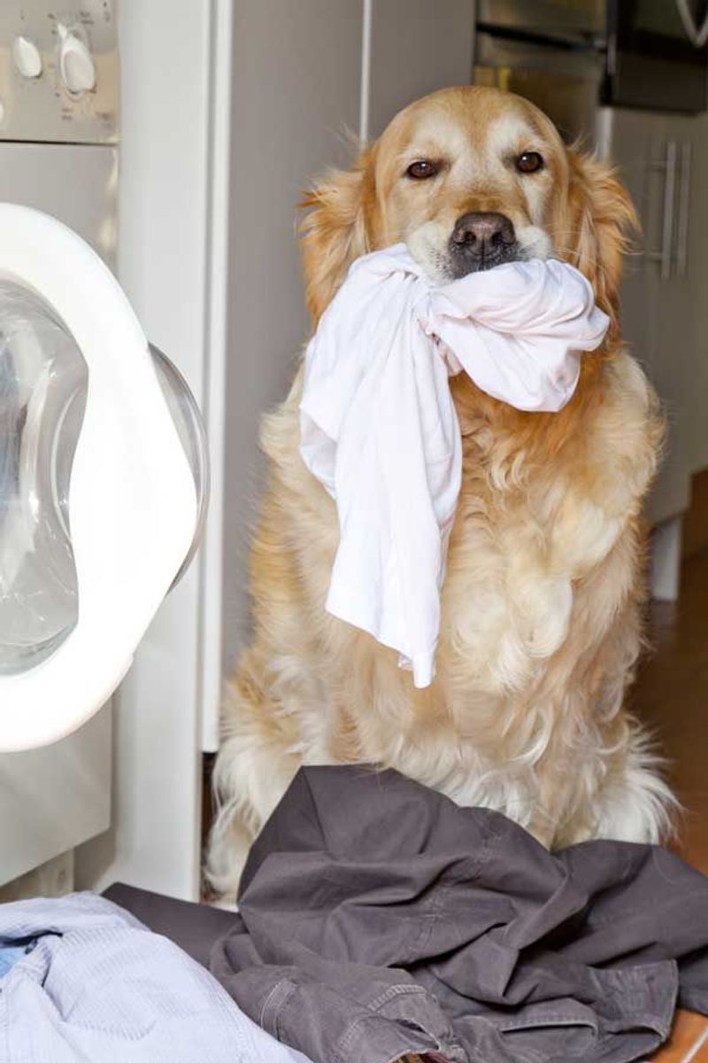 Cleaning Sprays