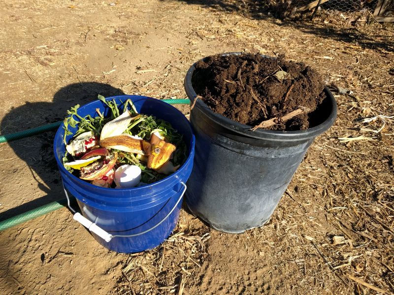 Compost Piles