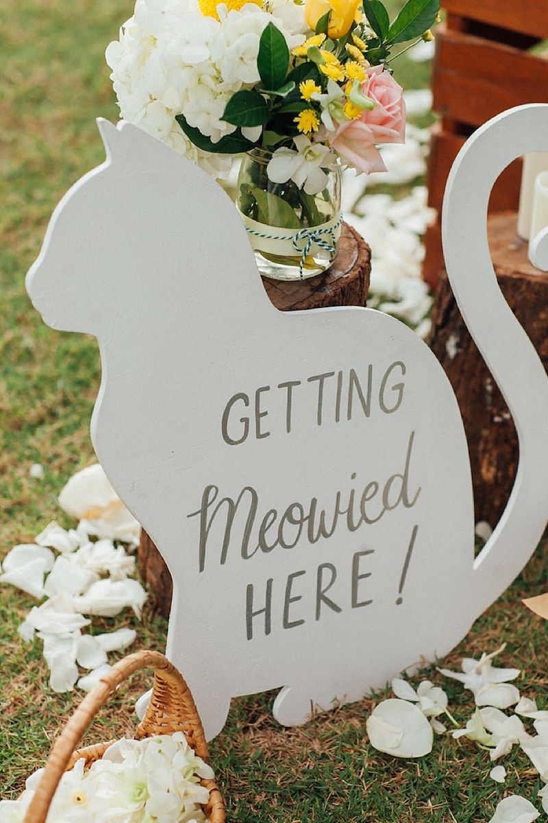 Pet-Inspired Décor