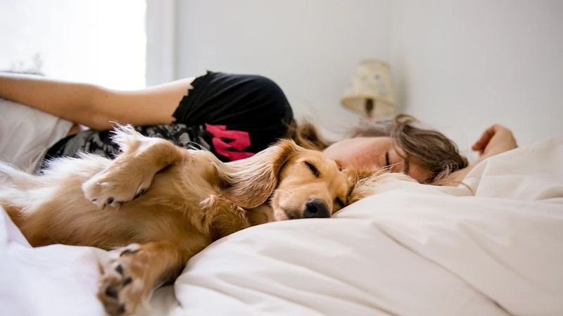 Increased Sleep Requirement