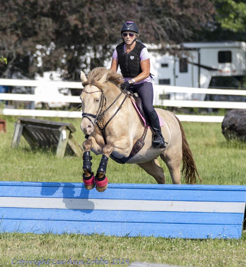 Mini Show Jumping