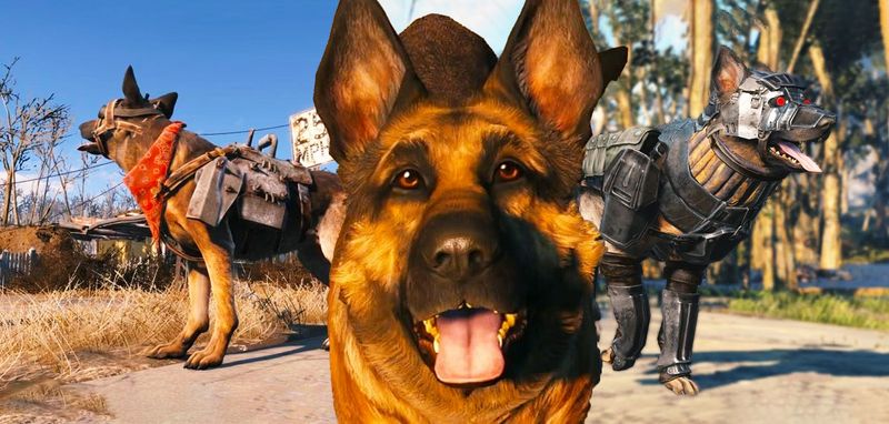 Dogmeat from Fallout