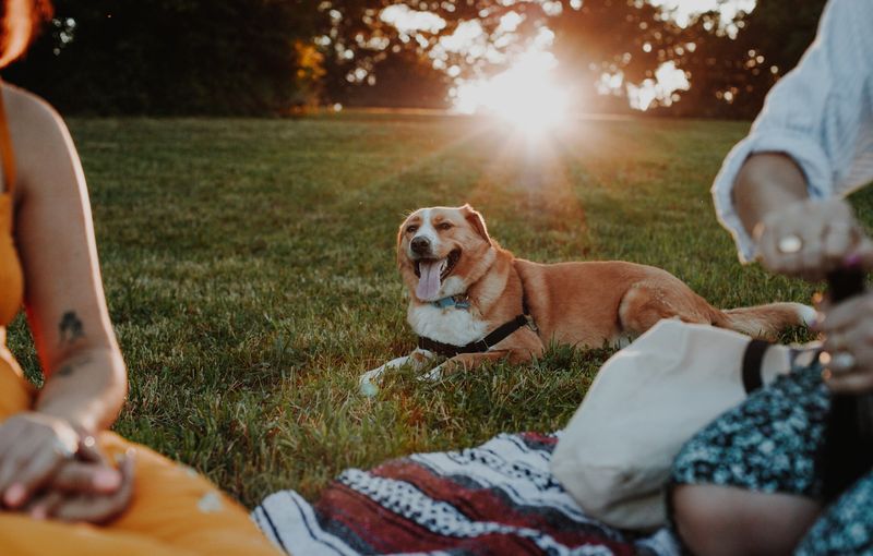 Respect Other Picnickers
