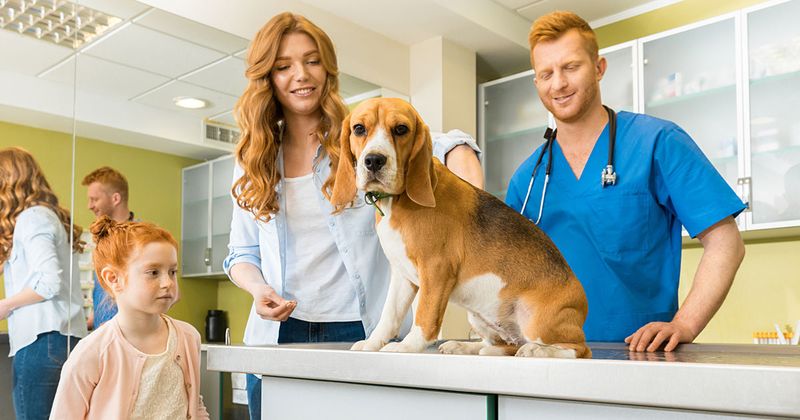 Schedule a Vet Visit