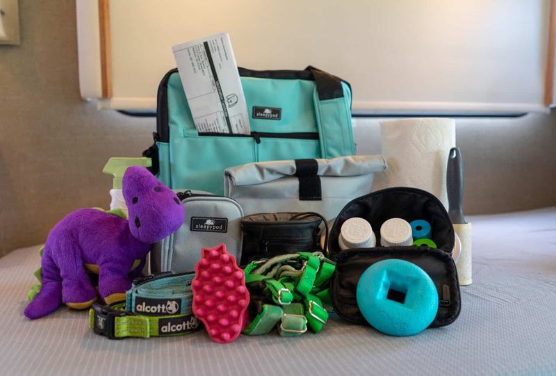 Pack a Pet Essentials Bag