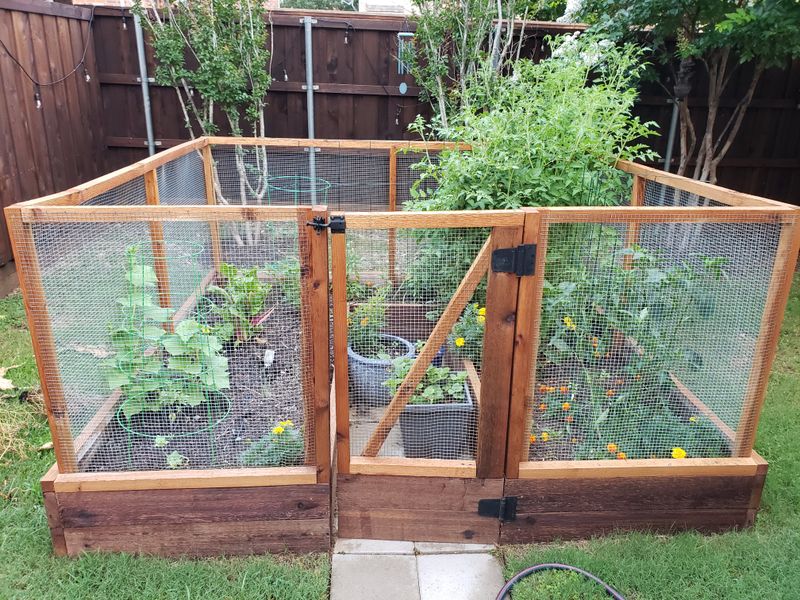 Create a Raised Bed