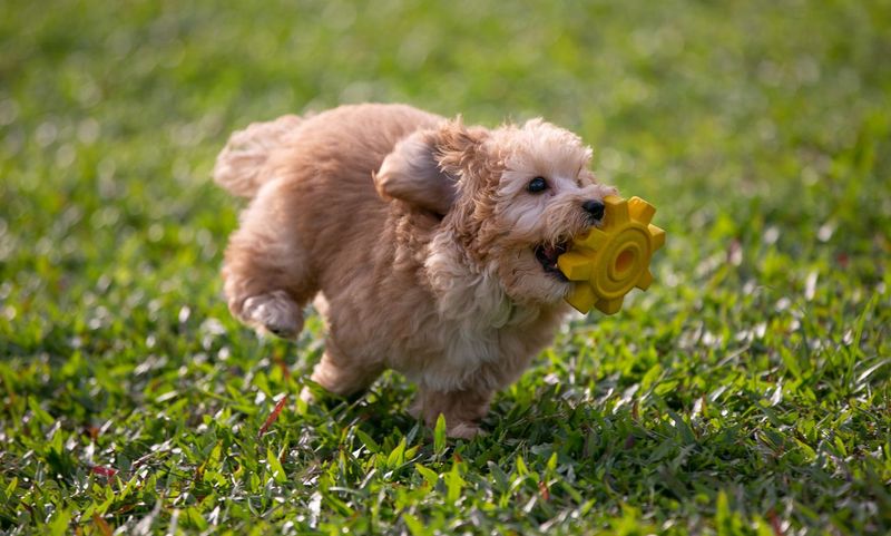 Sudden Bursts of Energy