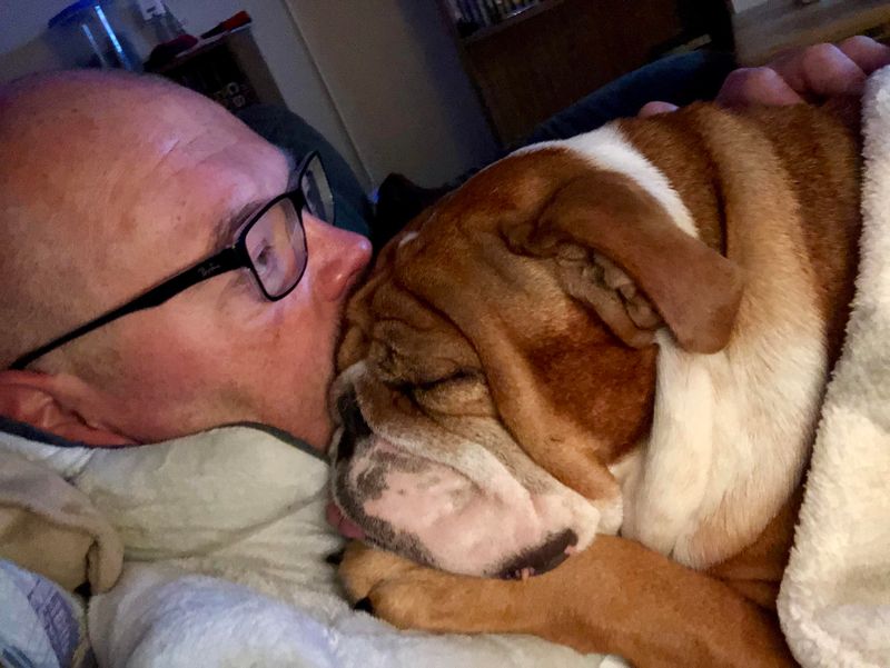 Bulldog