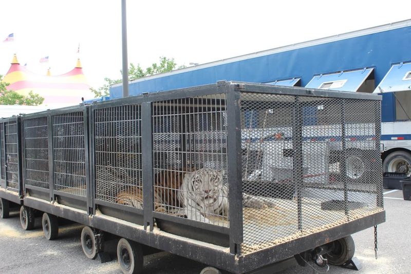 Constant Transportation