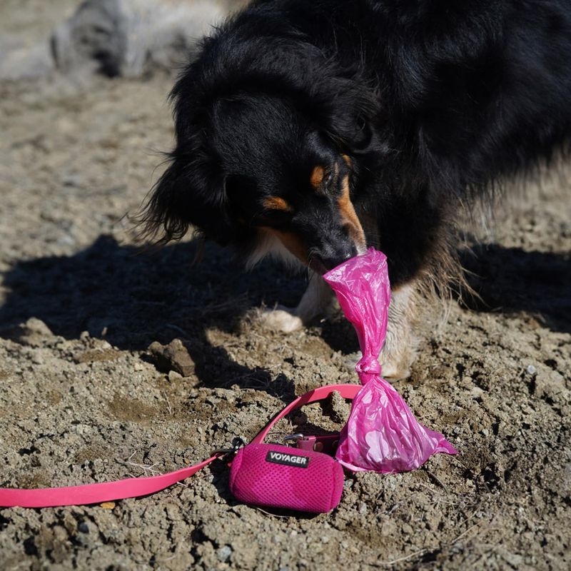 Dog Waste Bags