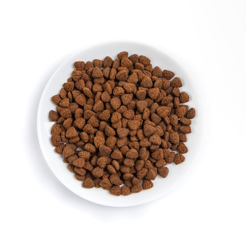 Artificial Additives