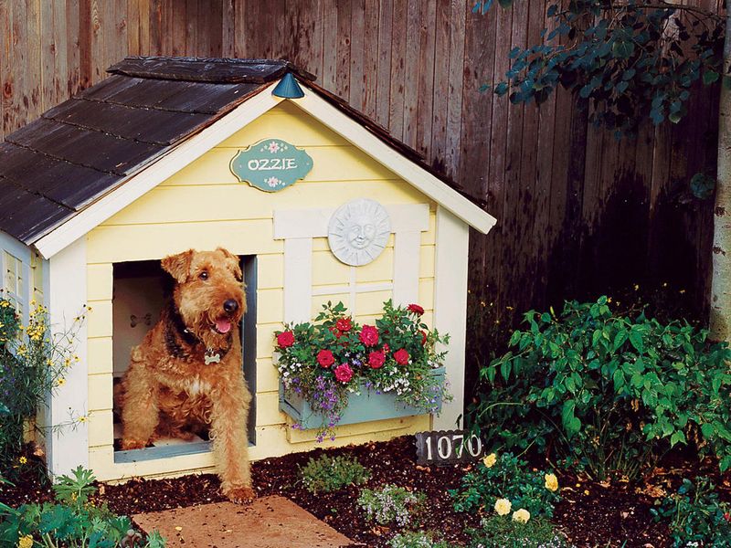 Creating a Safe Space at Home