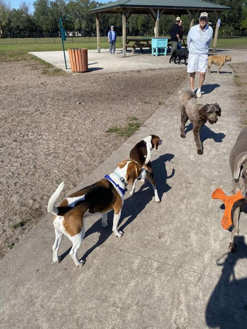 Paw Patch Dog Park