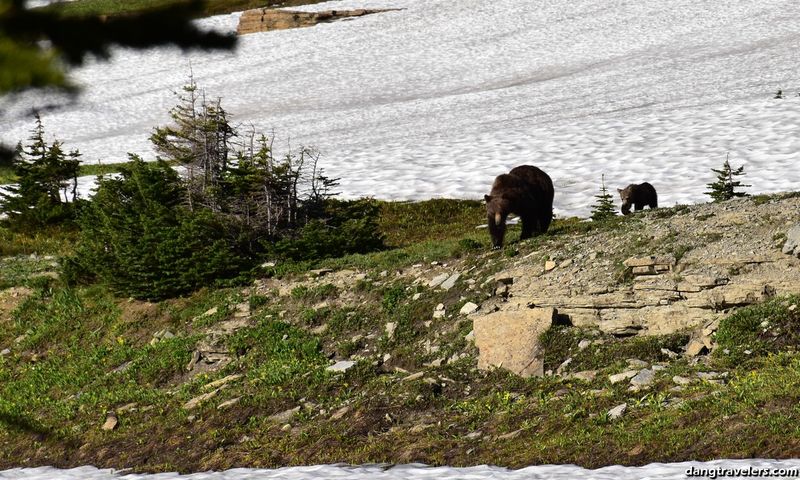 Hidden Lake Trail – Glacier NP, MT