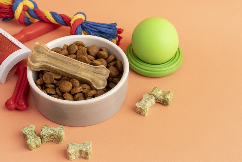 Gather Necessary Supplies