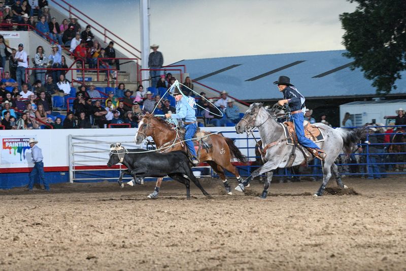 Greeley Stampede