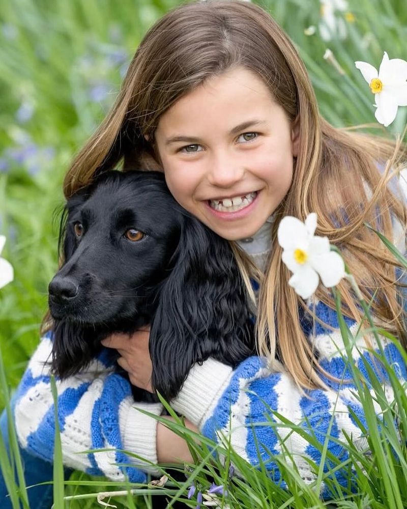 Orla: The Royal Dog